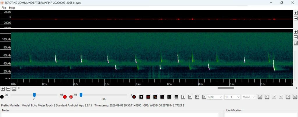 L’attribut alt de cette image est vide, son nom de fichier est Pipistrelle-et-Serotine-1024x403.jpg.